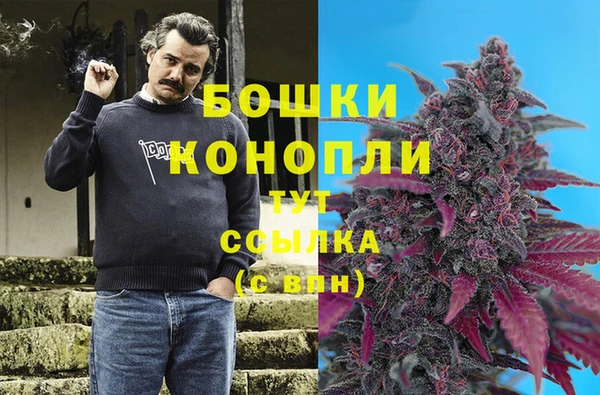 ешки Липки