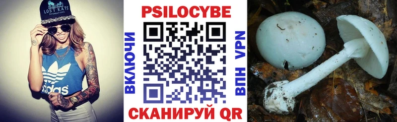 Псилоцибиновые грибы GOLDEN TEACHER  МЕГА ссылка  Новосиль 