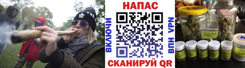 Бошки марихуана марихуана  Новосиль 